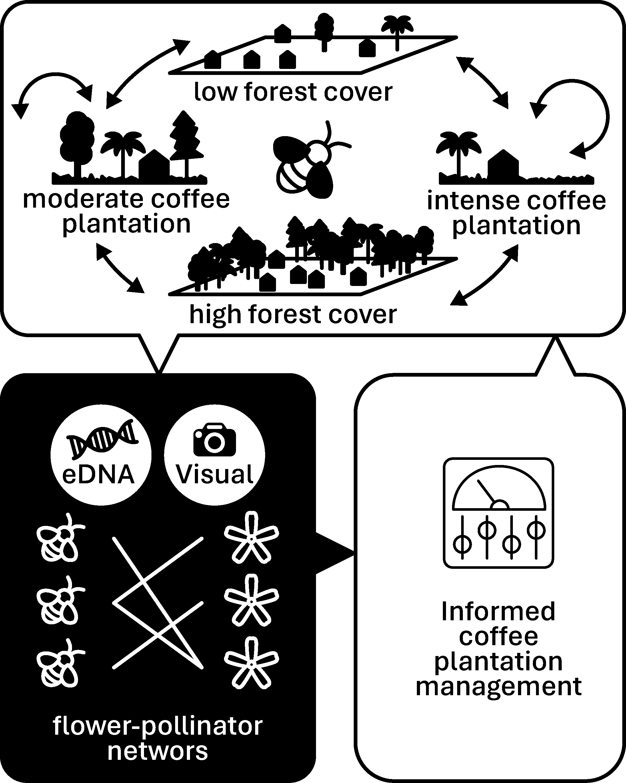 Diagram of the PolNet project
