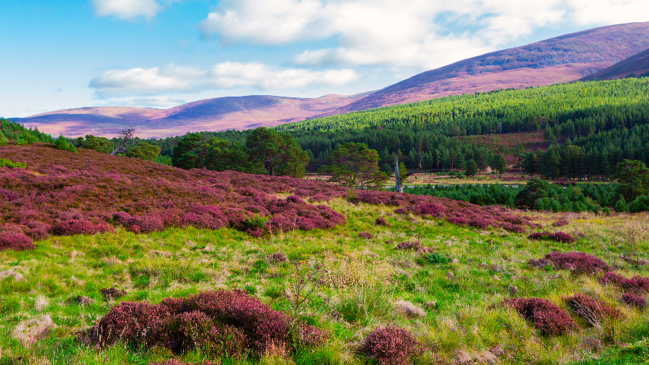 Scotland hills.