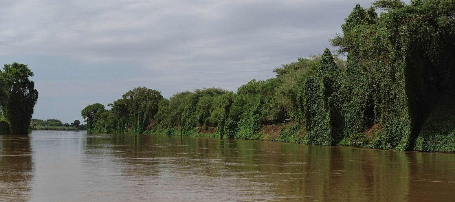 Gallery forests in the older part of the Omo Delta, Ethiopia